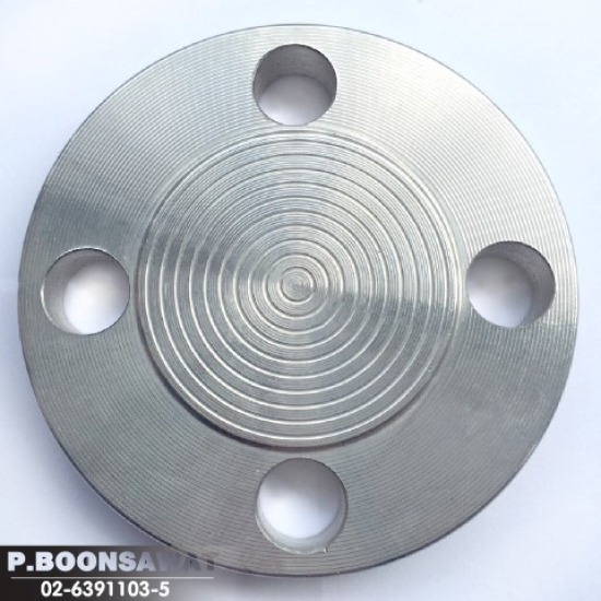 หน้าแปลนบอด Blind Flange - อุปกรณ์ประปา สแตนเลส ป.บุญสวัสดิ์